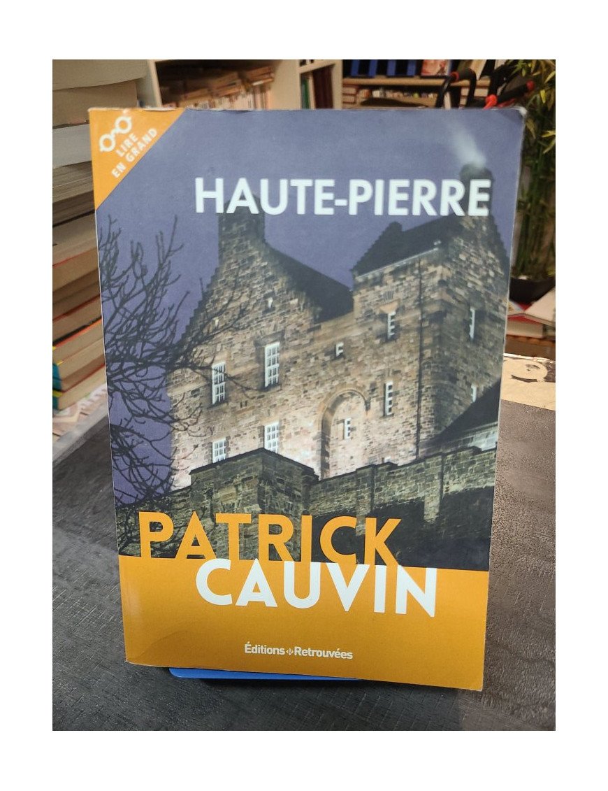 Haute-pierre - Roman de Patrick Cauvin mélangeant romantisme, fantastique et suspense