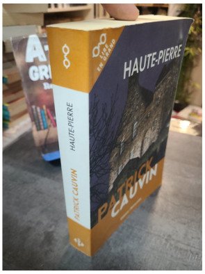 Haute-pierre - Roman de Patrick Cauvin mélangeant romantisme, fantastique et suspense