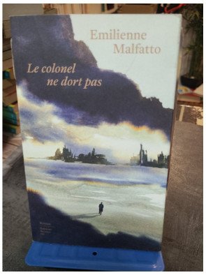 Le colonel ne dort pas - Un roman sur la guerre et la folie par Emilienne Malfatto (Prix Goncourt du premier roman)