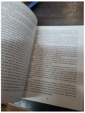 Carnet de voyage d'un jeune Provençal - Récit romanesque par Gabriel Giffon (2005)