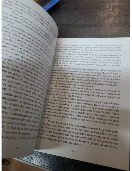 Carnet de voyage d'un jeune Provençal - Récit romanesque par Gabriel Giffon (2005)