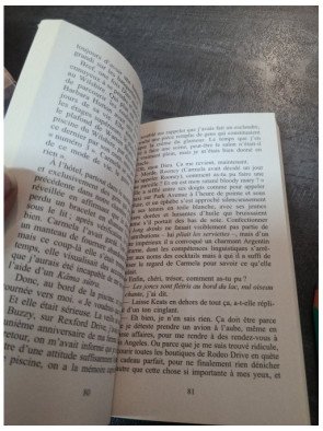 La Chute des Princes de Robert Goolrick : Grandeur et décadence des traders à Wall Street dans les années 80