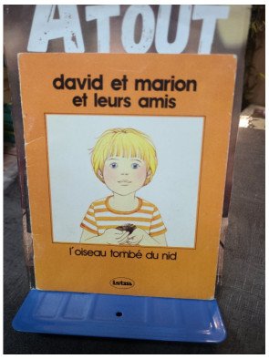 David Et Marion Et Leurs Mais - L'Oiseau Tombe Du Nid (Album Jeunesse) - Collectif