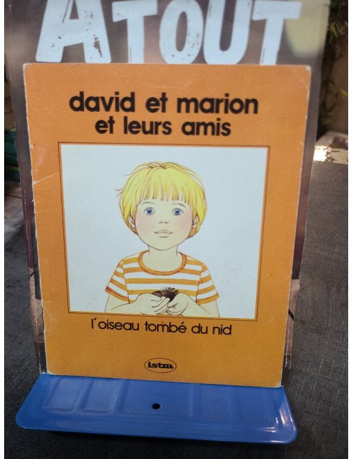 David Et Marion Et Leurs Mais - L'Oiseau Tombe Du Nid (Album Jeunesse) - Collectif