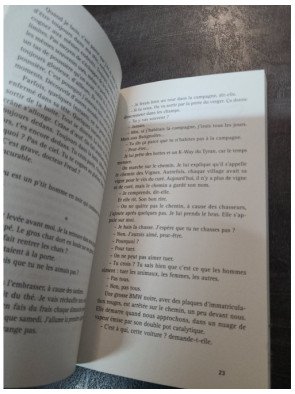 Iris Picarde - Embrouilles à perte de vue par Jean-Charles Fauque - Roman Policier Régional