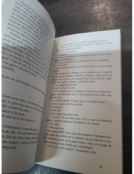 Iris Picarde - Embrouilles à perte de vue par Jean-Charles Fauque - Roman Policier Régional