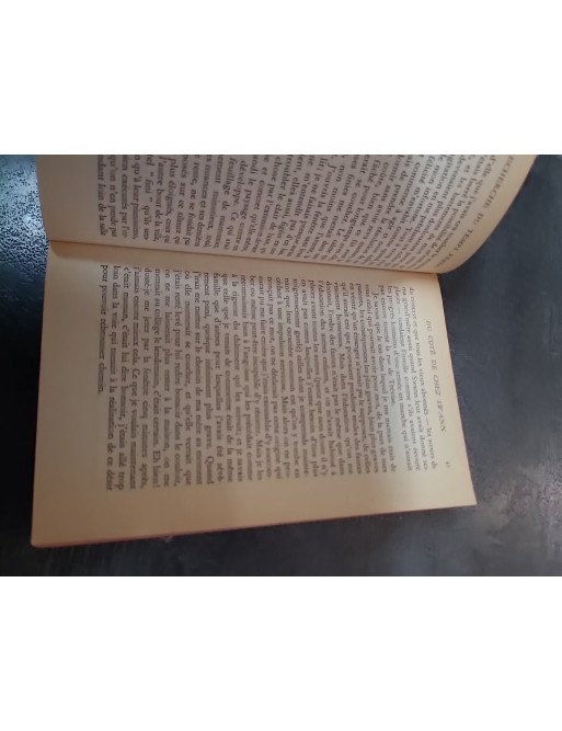 Du côté de chez Swann, le roman emblématique de Marcel Proust, explore l'enfance et l'amour dans La Recherche.