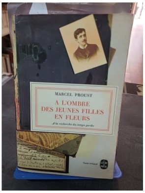 A l'ombre des jeunes filles en fleurs de Marcel Proust - Roman classique de la Recherche