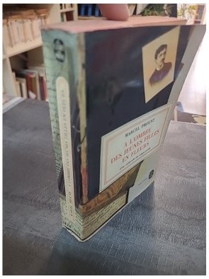 A l'ombre des jeunes filles en fleurs de Marcel Proust - Roman classique de la Recherche