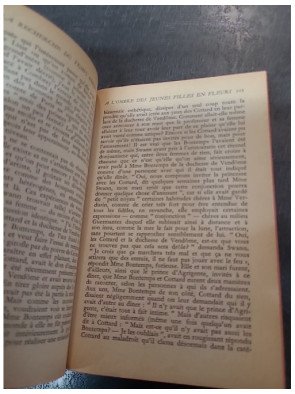 A l'ombre des jeunes filles en fleurs de Marcel Proust - Roman classique de la Recherche