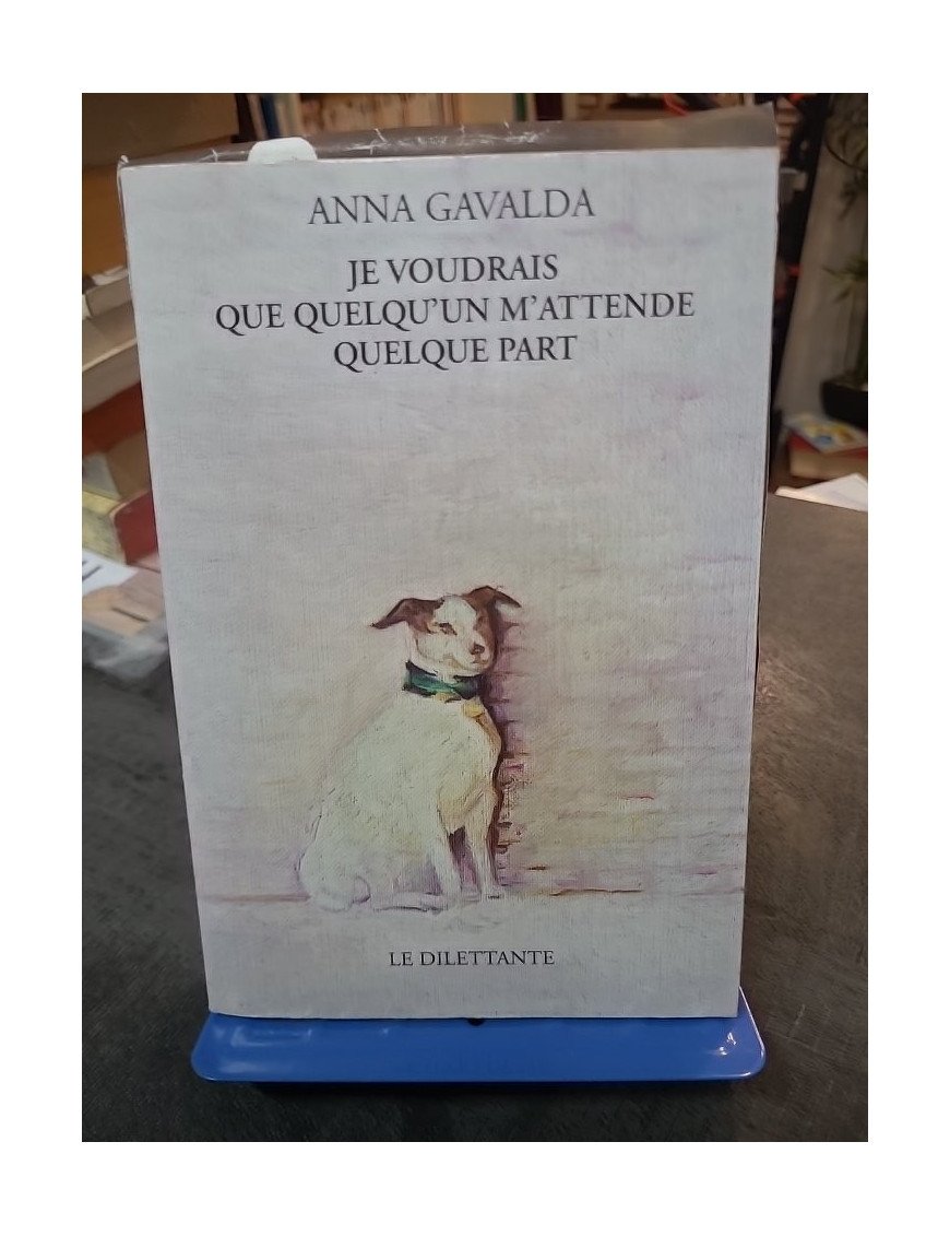 Je voudrais que quelqu'un m'attende quelque part - Nouvelles poignantes par Anna Gavalda