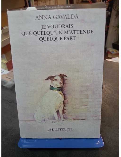 Je voudrais que quelqu'un m'attende quelque part - Nouvelles poignantes par Anna Gavalda