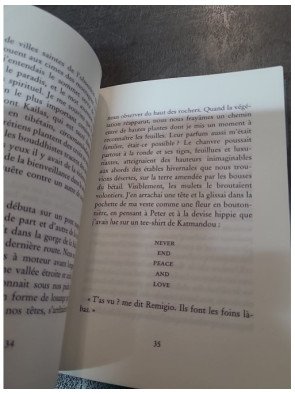 Sans jamais atteindre le sommet de Paolo Cognetti - Récit de voyage dans l'Himalaya