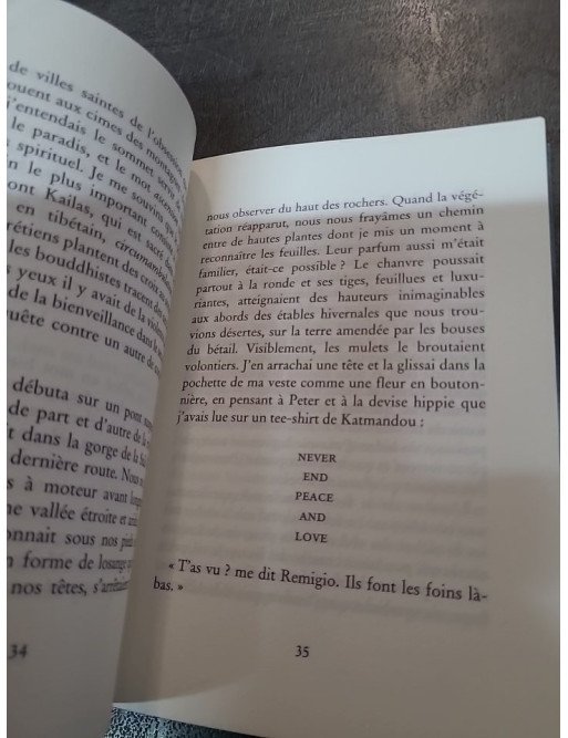 Sans jamais atteindre le sommet de Paolo Cognetti - Récit de voyage dans l'Himalaya