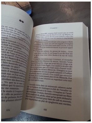Uvaspina de Monica Acito - Fascinante chronique familiale et roman magique à Naples
