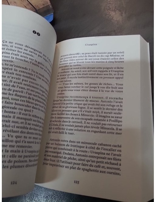 Uvaspina de Monica Acito - Fascinante chronique familiale et roman magique à Naples