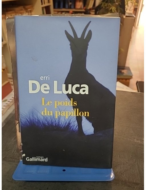 Le poids du papillon par Erri De Luca - Un roman poétique sur l'isolement, la montagne et l'amour