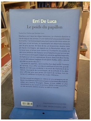 Le poids du papillon par Erri De Luca - Un roman poétique sur l'isolement, la montagne et l'amour