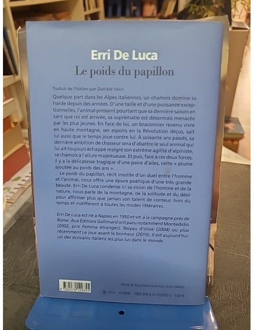 Le poids du papillon par Erri De Luca - Un roman poétique sur l'isolement, la montagne et l'amour