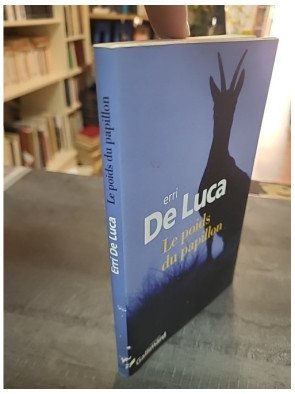 Le poids du papillon par Erri De Luca - Un roman poétique sur l'isolement, la montagne et l'amour
