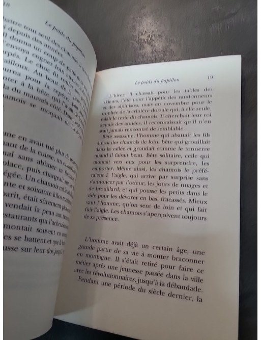Le poids du papillon par Erri De Luca - Un roman poétique sur l'isolement, la montagne et l'amour