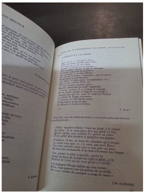 Le Médecin, le poète et l'enfant par Régis Brunod - Essai sur le développement psychique de l'enfant et la sexualité infantile