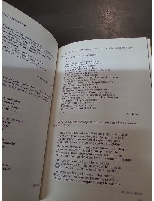 Le Médecin, le poète et l'enfant par Régis Brunod - Essai sur le développement psychique de l'enfant et la sexualité infantile