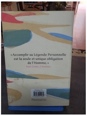 L'Alchimiste - Édition illustrée - Paulo Coelho - Une quête philosophique au désert
