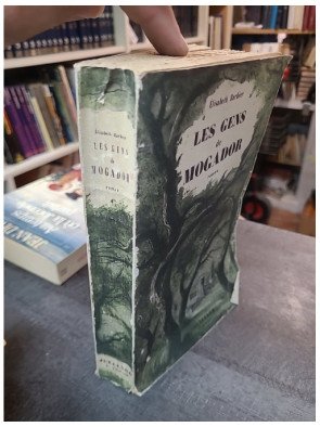 Les gens de Mogador de Elisabeth Barbier : Saga familiale, amour et histoire en Provence (Tome 1)