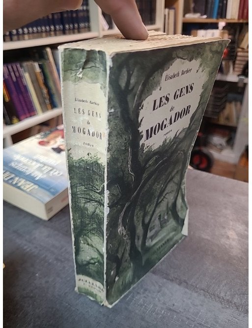Les gens de Mogador de Elisabeth Barbier : Saga familiale, amour et histoire en Provence (Tome 1)
