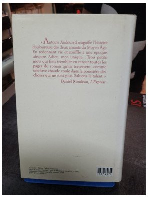 Adieu, mon unique - Le roman d'Antoine Audouard sur deux amants du Moyen Âge