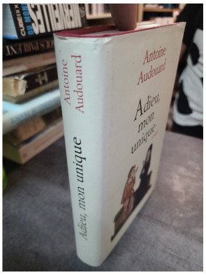 Adieu, mon unique - Le roman d'Antoine Audouard sur deux amants du Moyen Âge