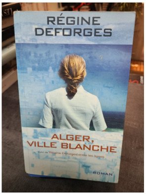 Alger, ville blanche 1959-1960 : Le roman historique de Régine Deforges