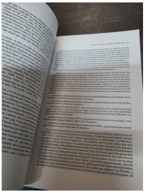 L'histoire littéraire: théorie et pratique - Anne Armand