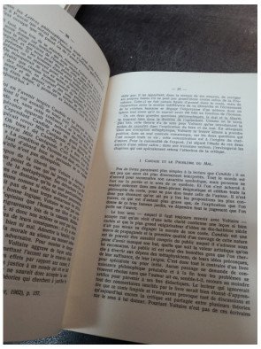 Essai sur Candide - Jean Sareil