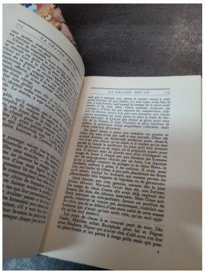 Les fleurs du mal - Charles Baudelaire