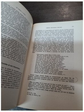 Voltaire dans ses contes - De Micromégas à L'Ingénu - Jacques Van den Heuvel