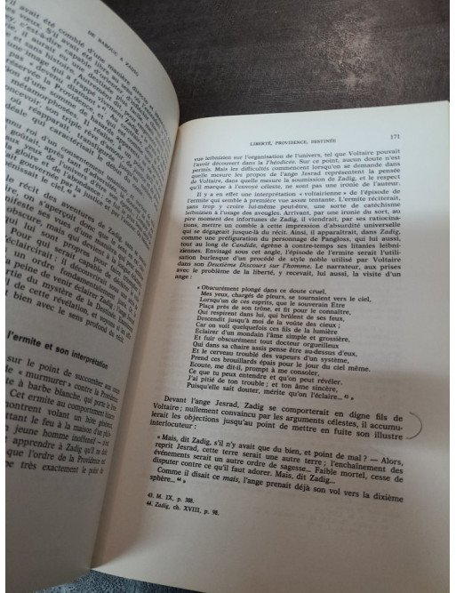 Voltaire dans ses contes - De Micromégas à L'Ingénu - Jacques Van den Heuvel