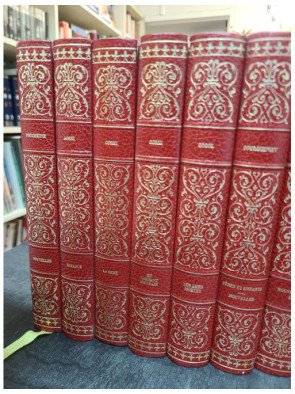 Lot de 19 livres : classiques de la littérature Russe