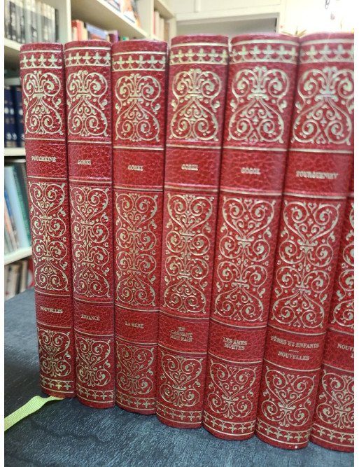 Lot de 19 livres : classiques de la littérature Russe