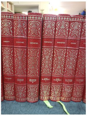 Lot de 19 livres : classiques de la littérature Russe