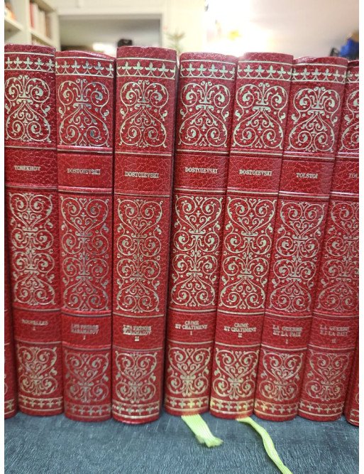 Lot de 19 livres : classiques de la littérature Russe