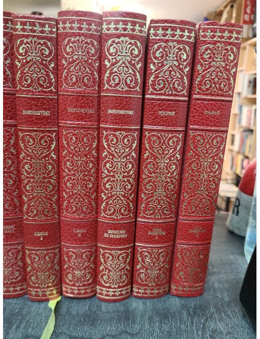 Lot de 19 livres : classiques de la littérature Russe