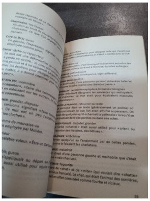 Dico des injures oubliées - Foutrebleu ! Abatteur de quilles ! Marpaud ! Salisson - Sabine Duhamel