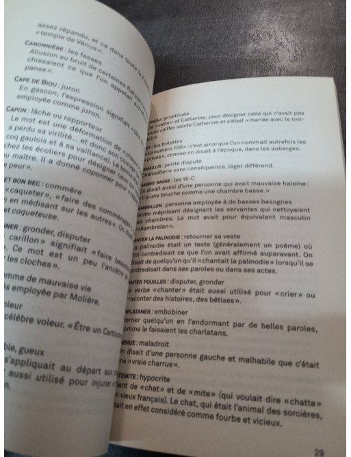 Dico des injures oubliées - Foutrebleu ! Abatteur de quilles ! Marpaud ! Salisson - Sabine Duhamel