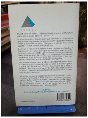 Le roman - Michel Raimond
