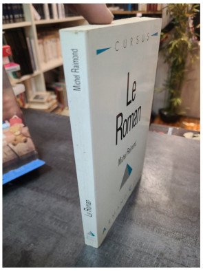 Le roman - Michel Raimond
