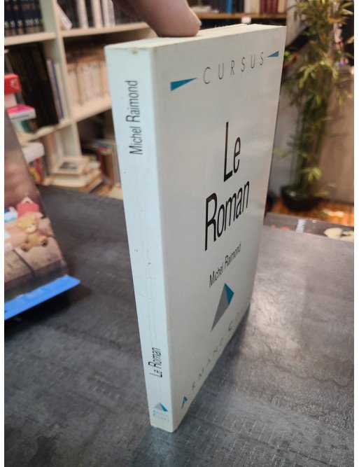 Le roman - Michel Raimond