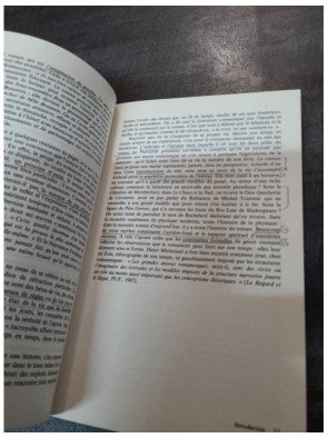Le roman - Michel Raimond