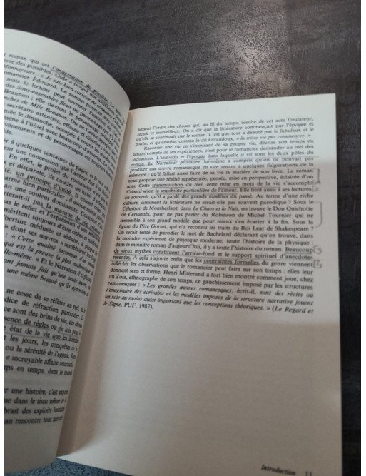 Le roman - Michel Raimond